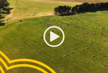 Climate-smart farming solutions video